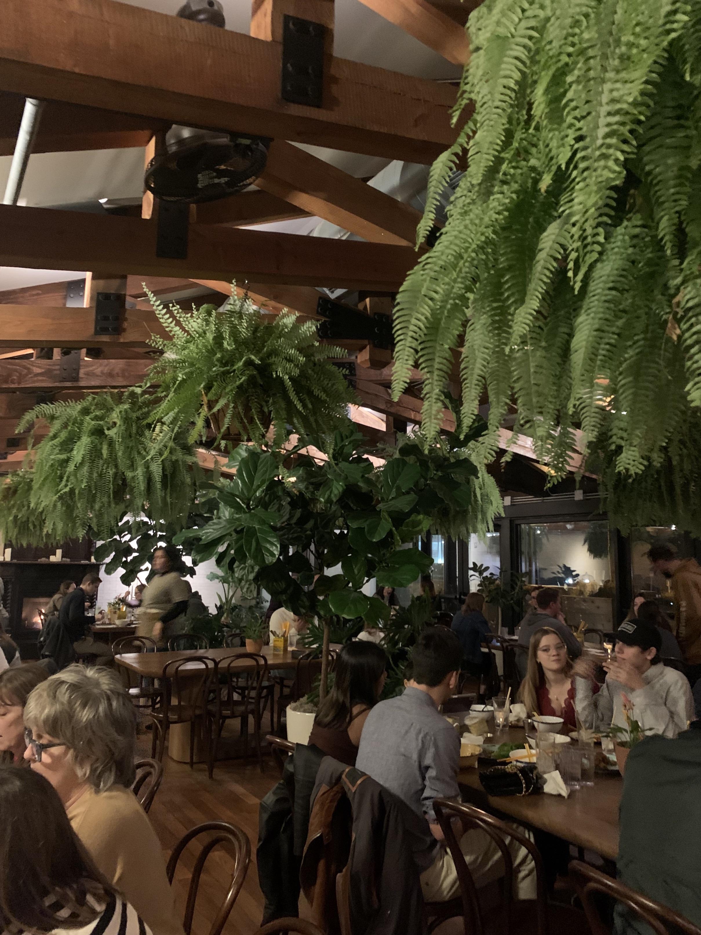 Gai Noi Interior