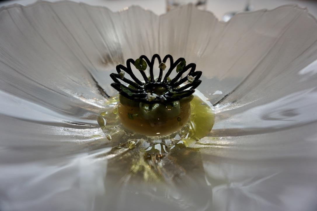Egg