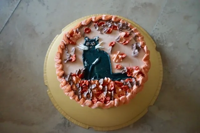 Ann&#x27;s Birthday Cake!