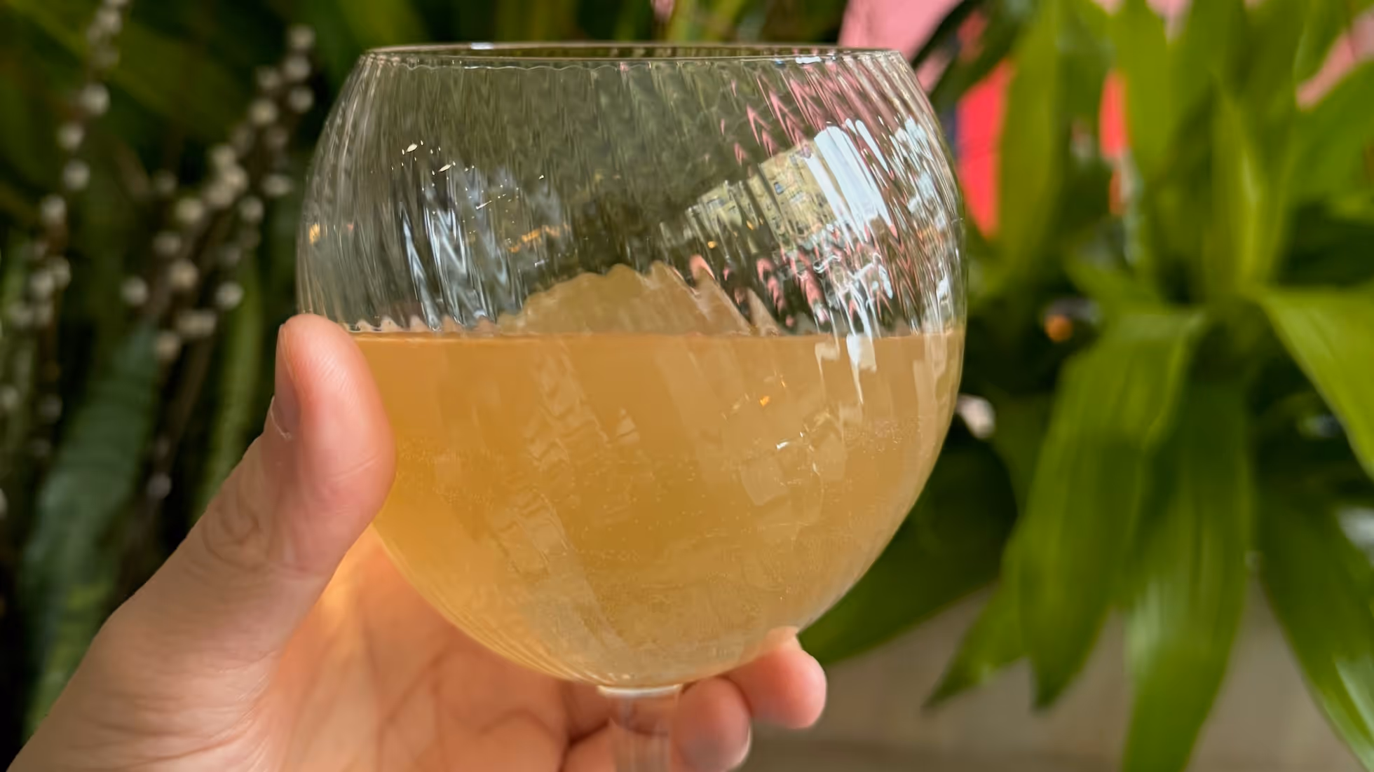 VisVrs-Lorem ipsum dolor sit amet