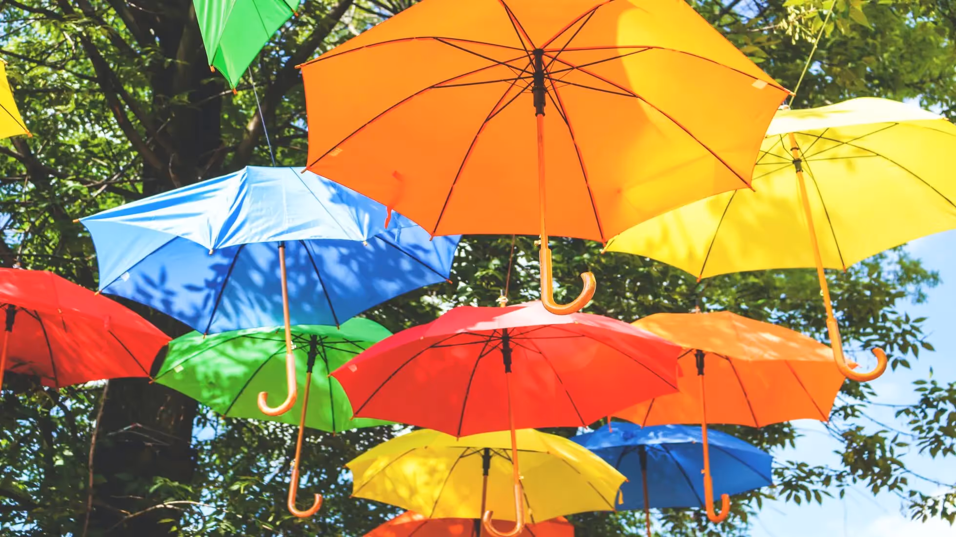 VisVrs-Content Collections